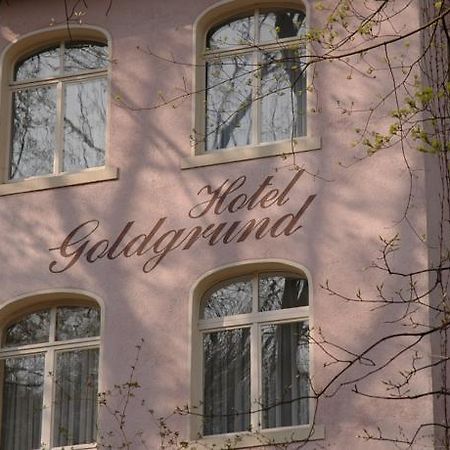 Hotel Goldgrund Meißen Værelse billede